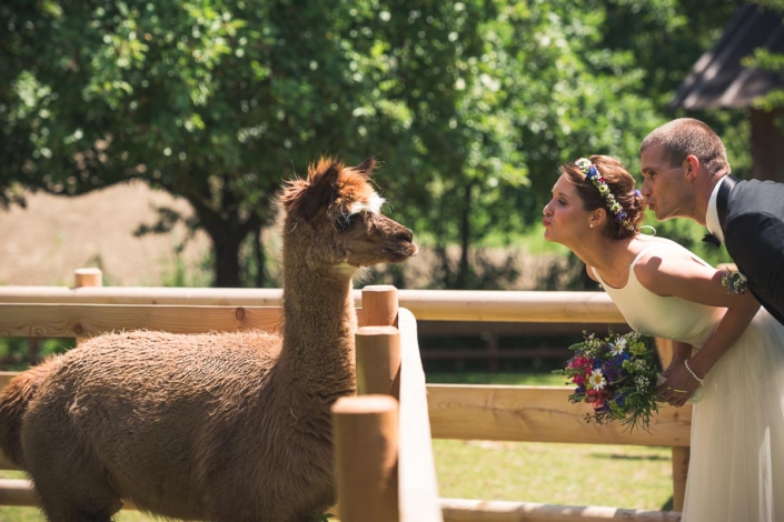 Hochzeitsfotograf, München,